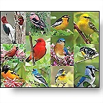 Birds of a Feather, 36-Piece Puzzle