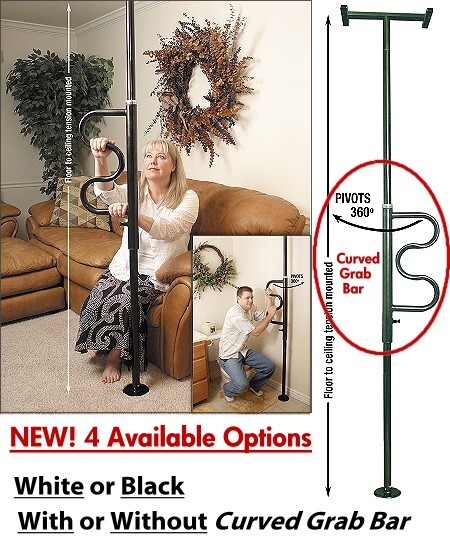 Security Pole & Curved Grab Bar